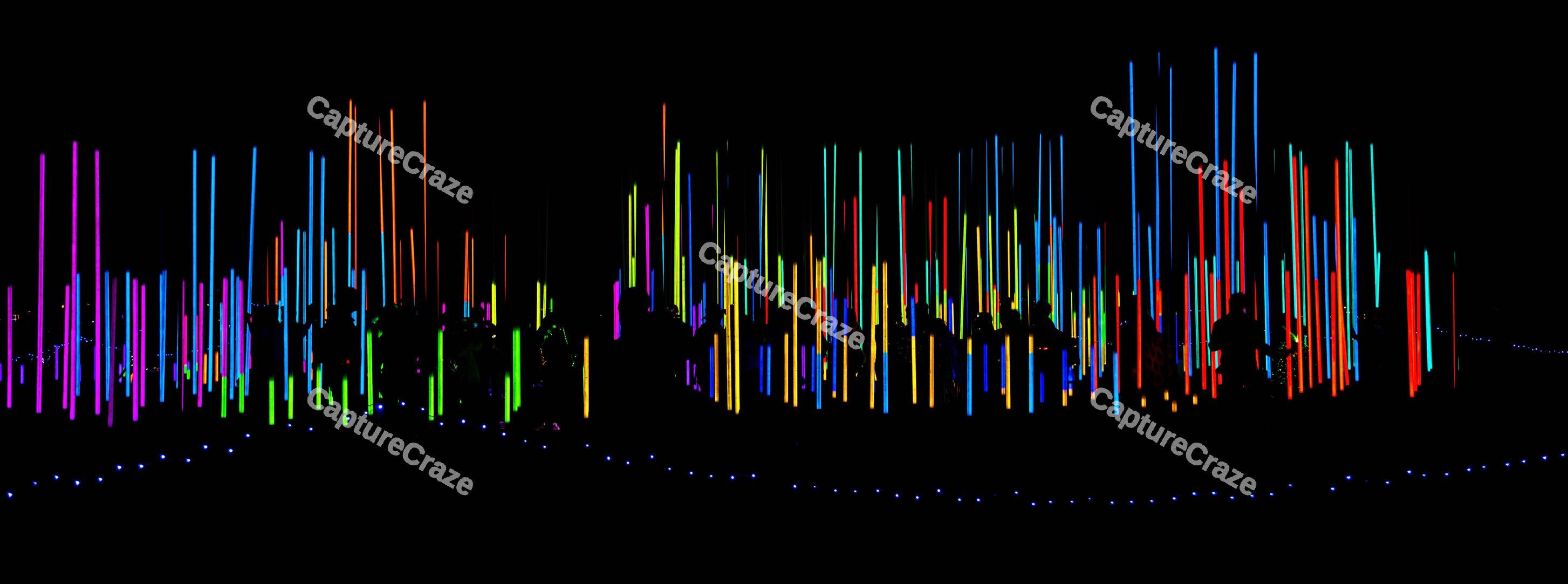 Neon Poles